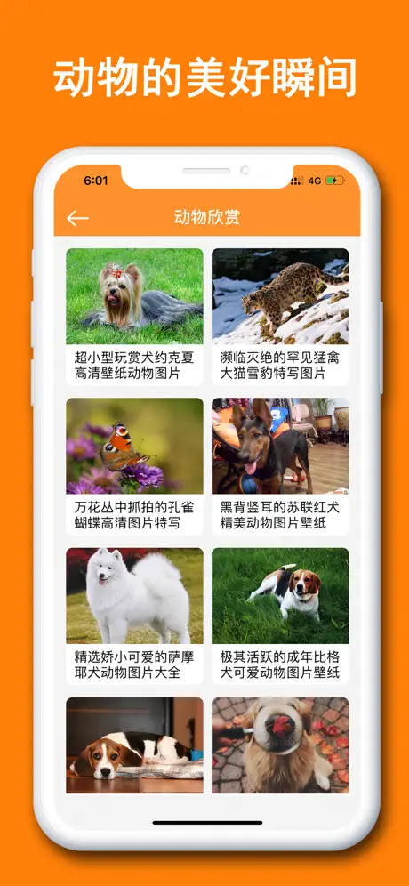 动物识别器-智能识别动物百科大全