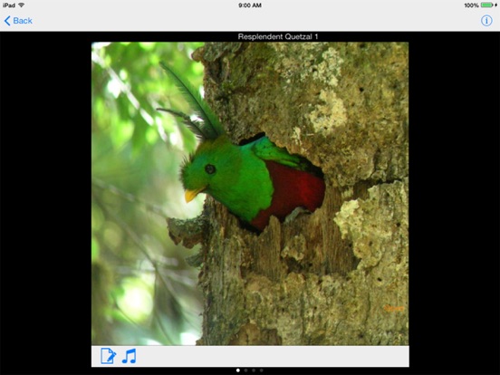Costa Rica Birdsのおすすめ画像1