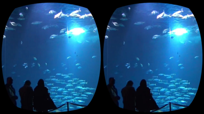 Aquarium Videos for Cardboard Screenshot