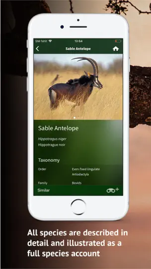 Screenshot von The Golden Safari Guide auf dem iPhone 4