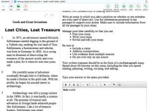 SecureTestBrowser screenshot 4