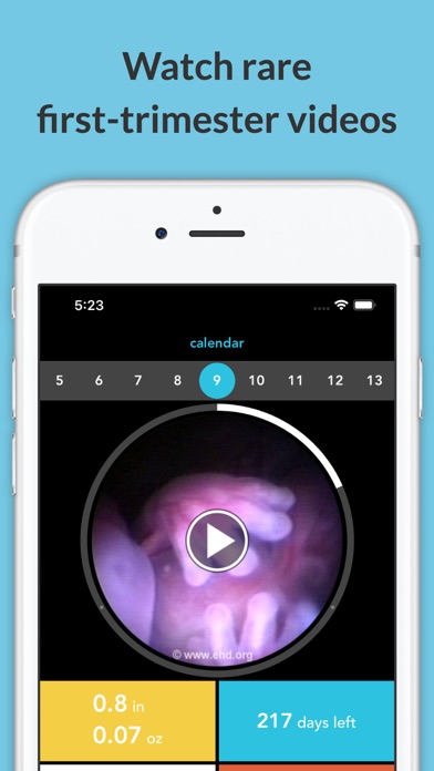 See Baby Pregnancy Guide Screenshot
