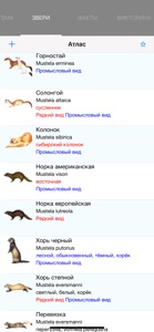 Экогид - Звери screenshot #1 for iPhone