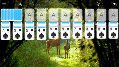 Spider Solitaire Card Gameのおすすめ画像3