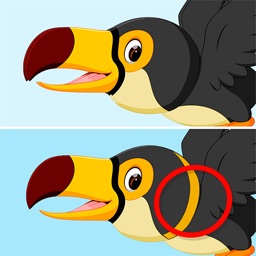 Jigsaw Puzzle & Find It!