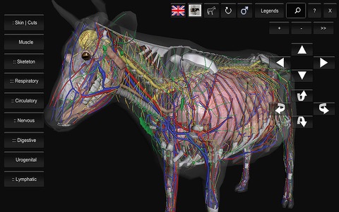 3D Bovine Anatomyのおすすめ画像1