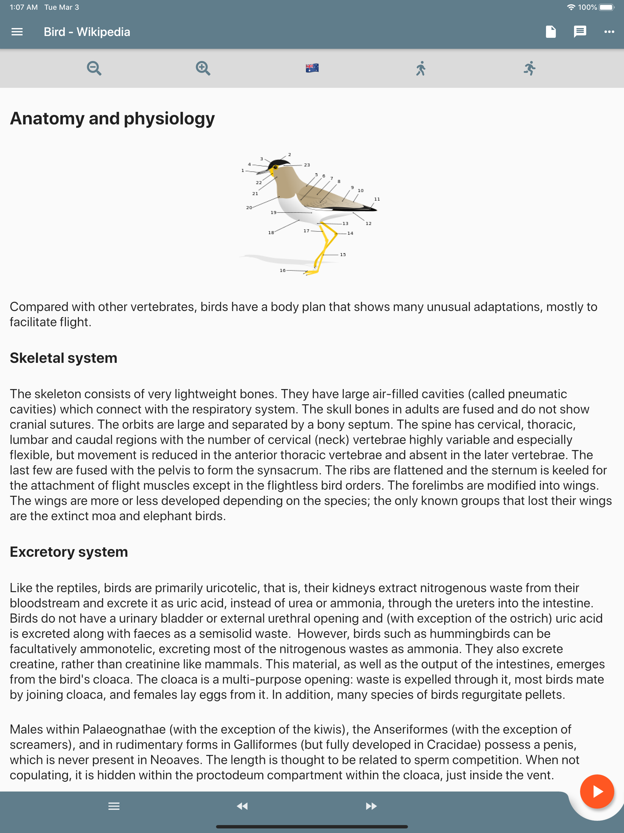Audactive screenshot 11