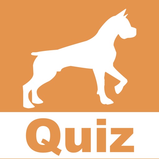 The dog quiz HD