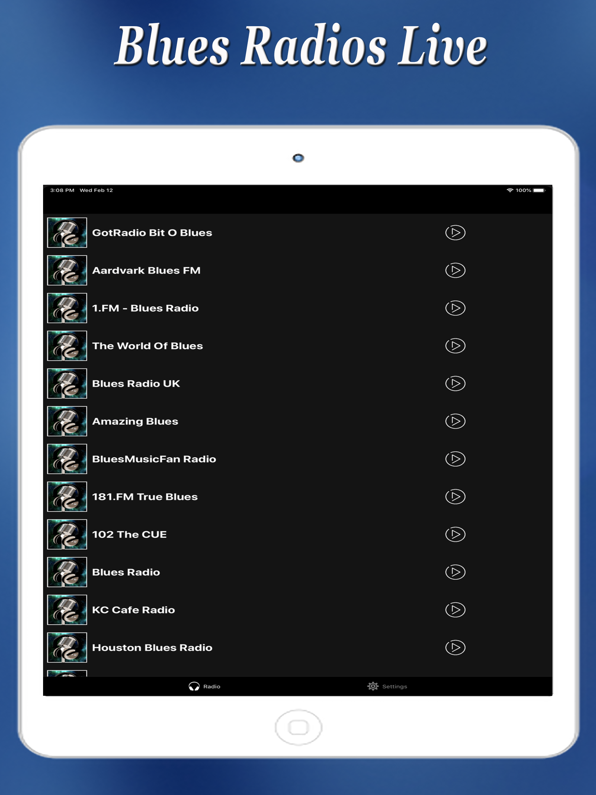Blues Radios Live screenshot 5
