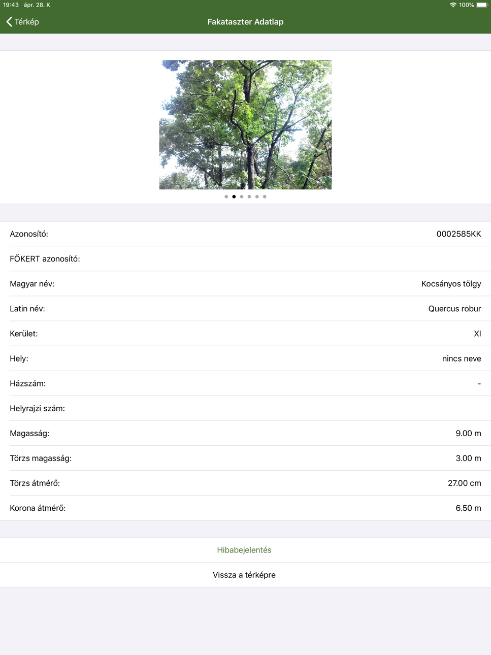 iPad screenshot