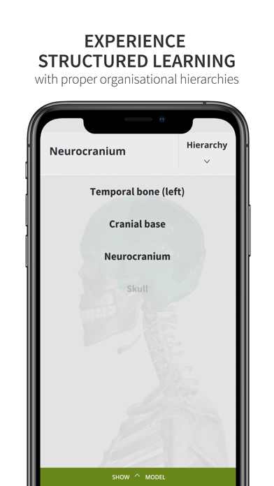 Anatomyka Skeleton Screenshot