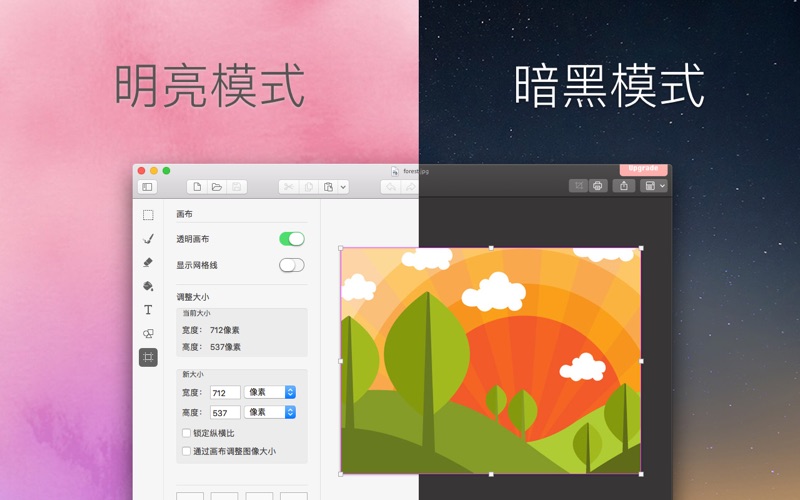 Paint X 高级版 screenshot