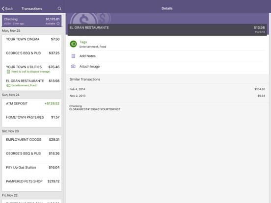 MSEFCU Mobile iPad screenshot 2 - Finance app