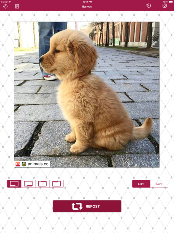 Screenshot #4 pour Repost Now :  Photo & Video