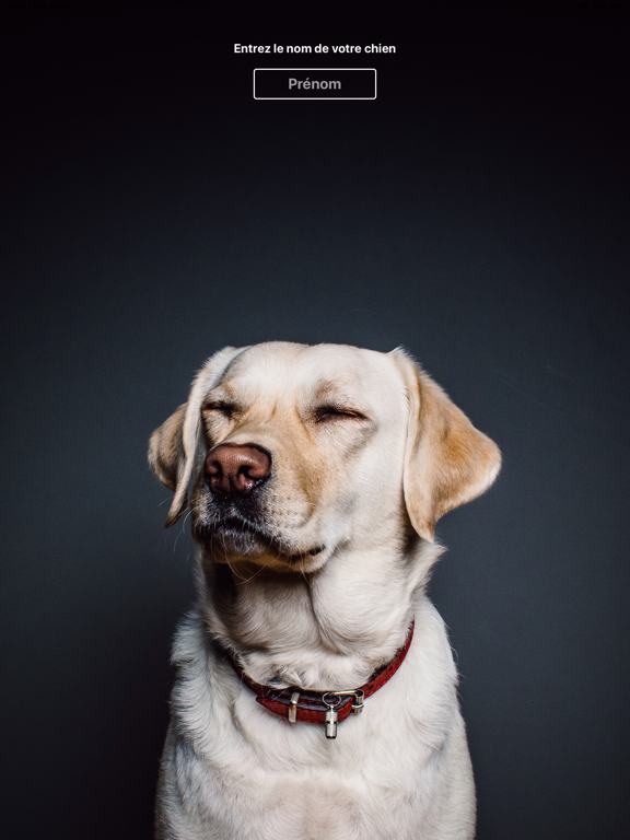 Screenshot #6 pour DogDiet - Nourrir votre chien