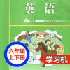 教科版广州小学英语学生套装8册教材 -课本同步有声双语点读机听力口语全面提高，儿童英语启蒙早教课程学霸100分学习辅导助手