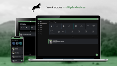 Horse-Tender Screenshot