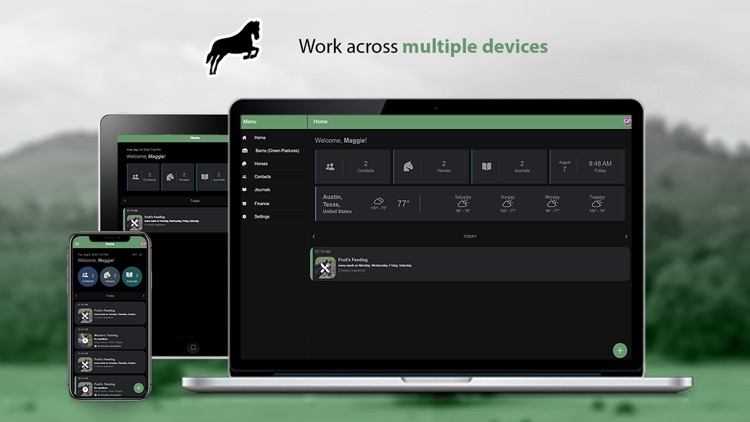 Horse-Tender screenshot-7