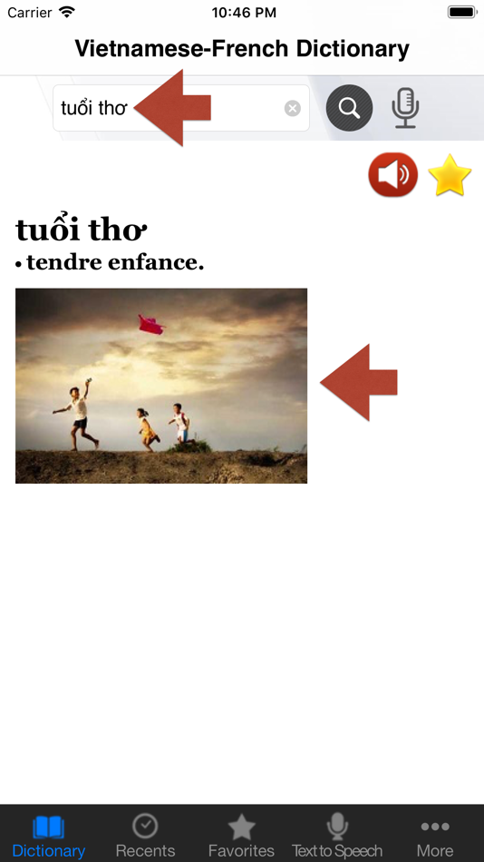 #5. Vietnamese-French Dictionary (iOS) 由: Ngo Bien
