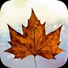Canada Citizenship: Test icon