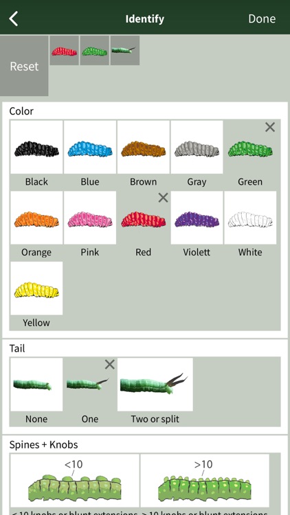 Caterpillar Id USA East Coast screenshot-7
