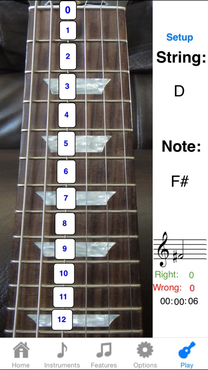 Electric Guitar Fretboard FREE