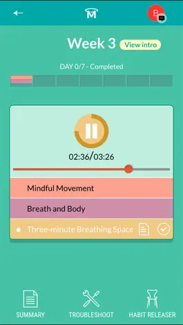 Game screenshot Mindfulness : Finding peace hack