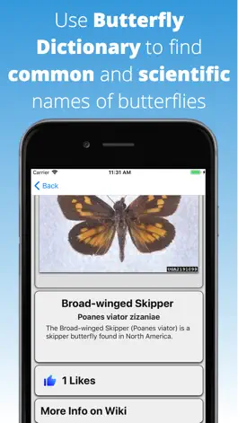 Game screenshot Butterfly Dictionary mod apk