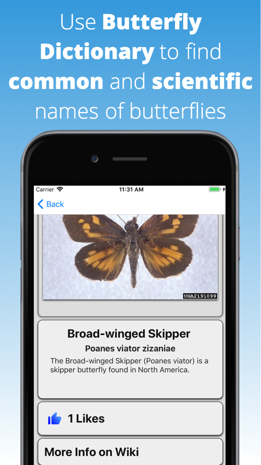 Butterfly Dictionary - 2.0.0 - (iOS)