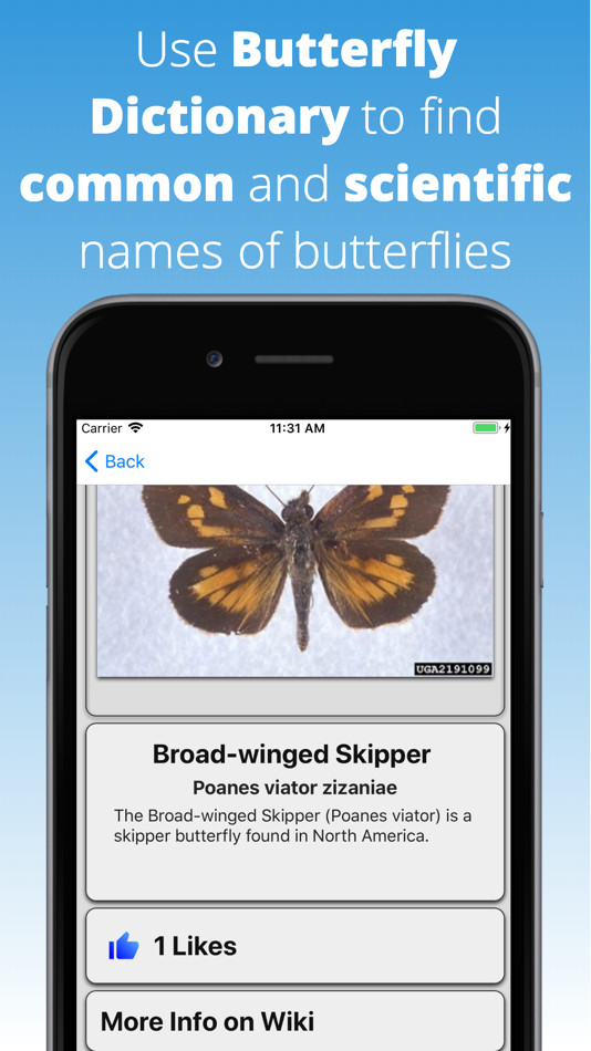 #1. Butterfly Dictionary (iOS) 由: Martin Ogg
