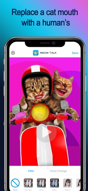 MiaowTalk(圖1)-速報App