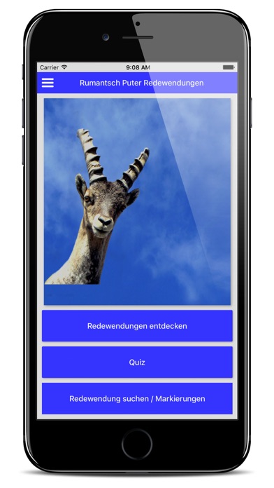 Screenshot #2 pour Rumantsch Puter Redewendungen
