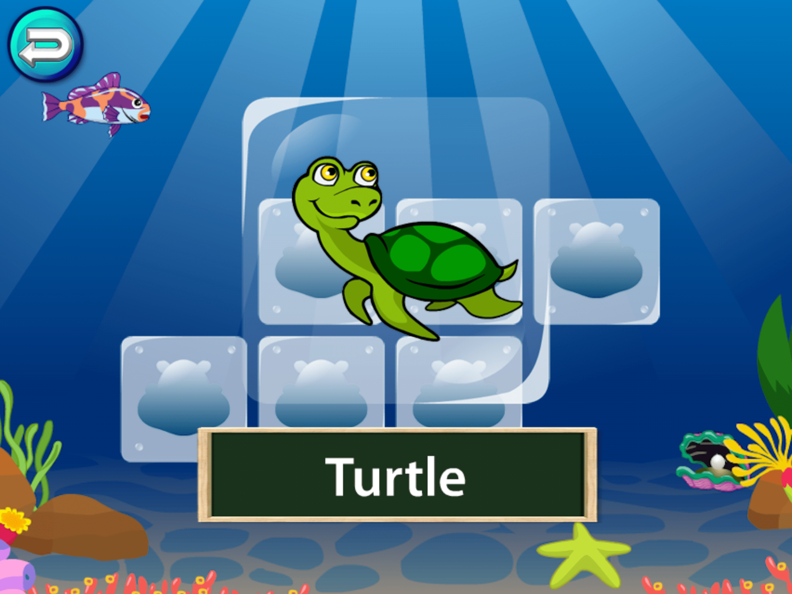 Match -Learning games for kids
