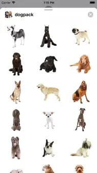 Dog Pack Stickers iphone bilder 1