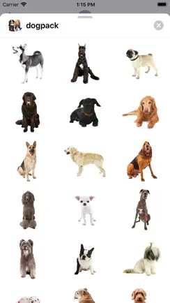 Dog Pack Stickers iPhone image 2