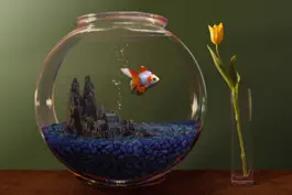 Game screenshot Goldfish Aquarium mod apk