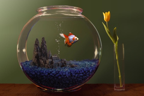 Goldfish Aquariumのおすすめ画像1