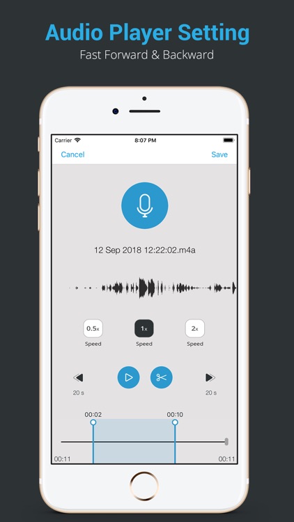 Recorder Pro : Voice Memo