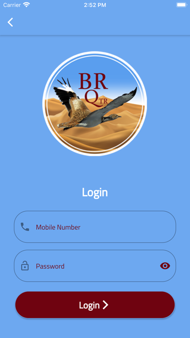 BR QTR Screenshot