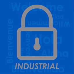Intrare Industrial