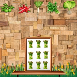 FindRightVegetableSet