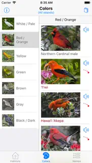 bird id hawaii iphone screenshot 1