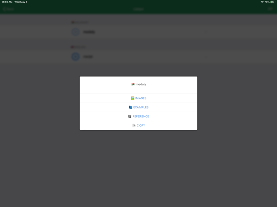 Malagasy Dictionary - offline iPad screenshot 4 - Reference app