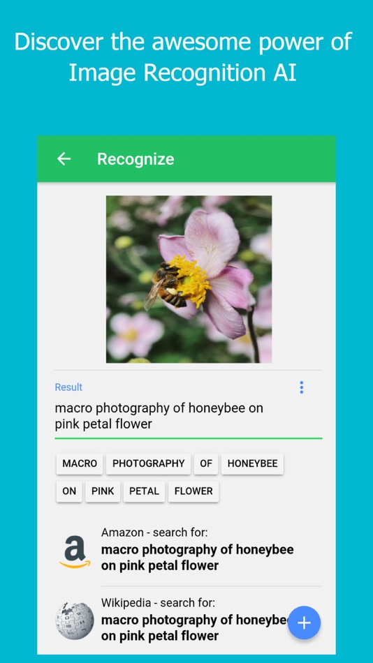 #5. Image Recognizer (LD Studio) (iOS) Ved: Trieu Le