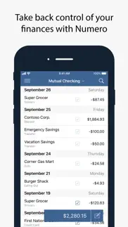 numero: personal finance iphone screenshot 2