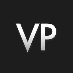 VP Level: Executive Job Search