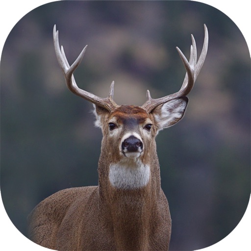 Hunting Camera Pro iOS App