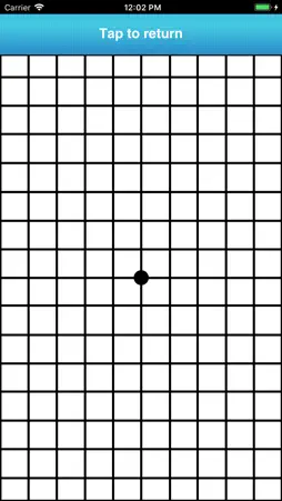 AMD_eye screenshot 6