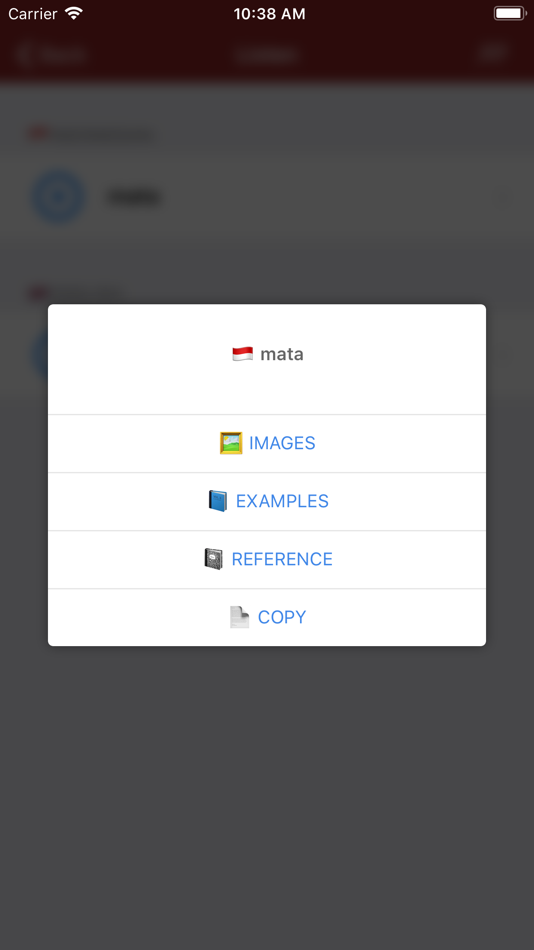 #4. Indonesian Dictionary offline (iOS) 由: Andrei Sadovnicov
