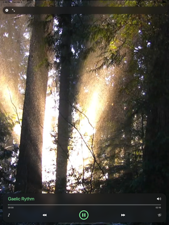 Screenshot #5 pour Méditation Celtique